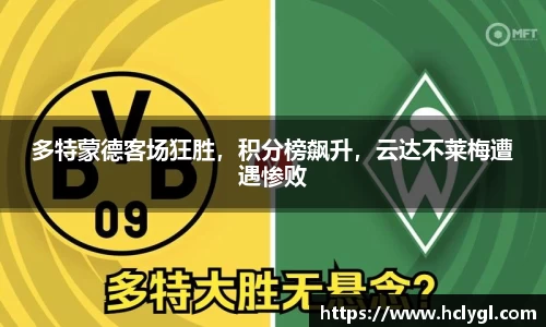 yy易游