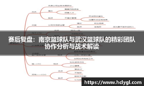 yy体育