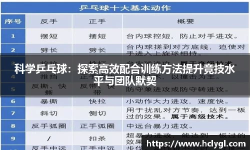 yy体育