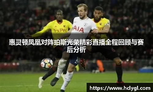yy体育